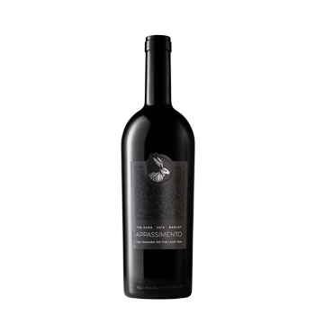 2019 Merlot Appassimento